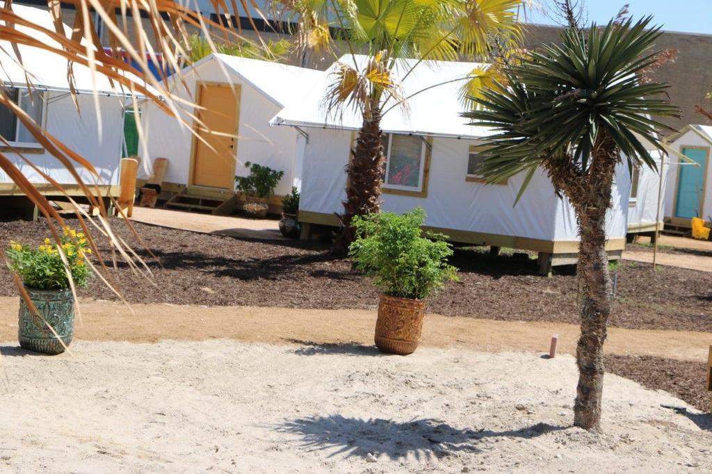 Camp Coyoacan Πορτ Αράνσας Εξωτερικό φωτογραφία